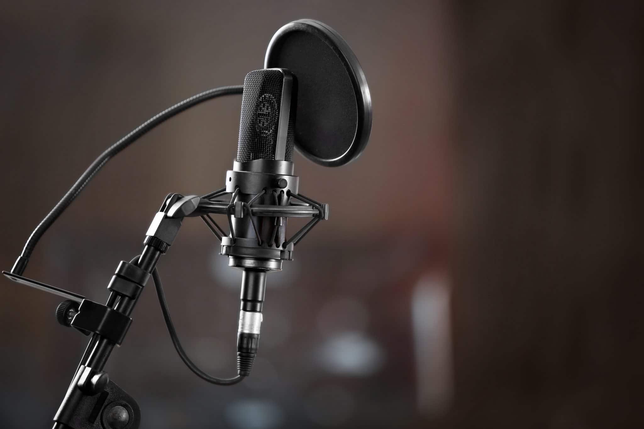 17 Best Mics for 2022 Top Mics for Vocals 27 to Under 500
