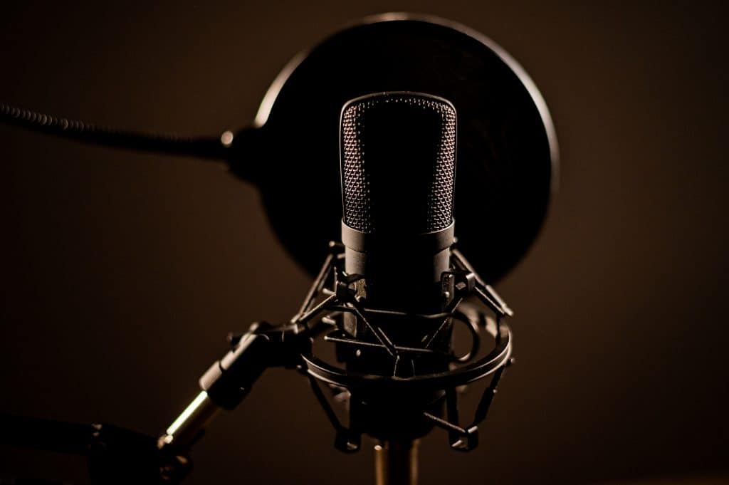 Best Tube Microphone for the Perfect Audio