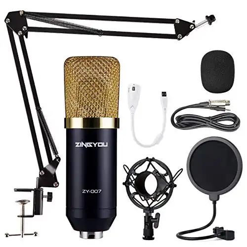 ZINGYOU Condenser Microphone Bundle, ZY-007