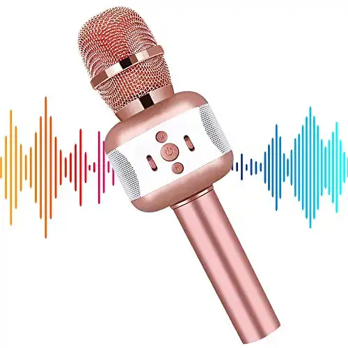 Leeron Karaoke Microphone