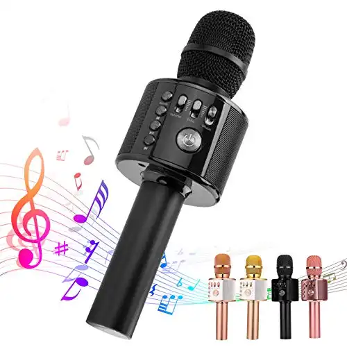 Ankuka Bluetooth Karaoke Microphone